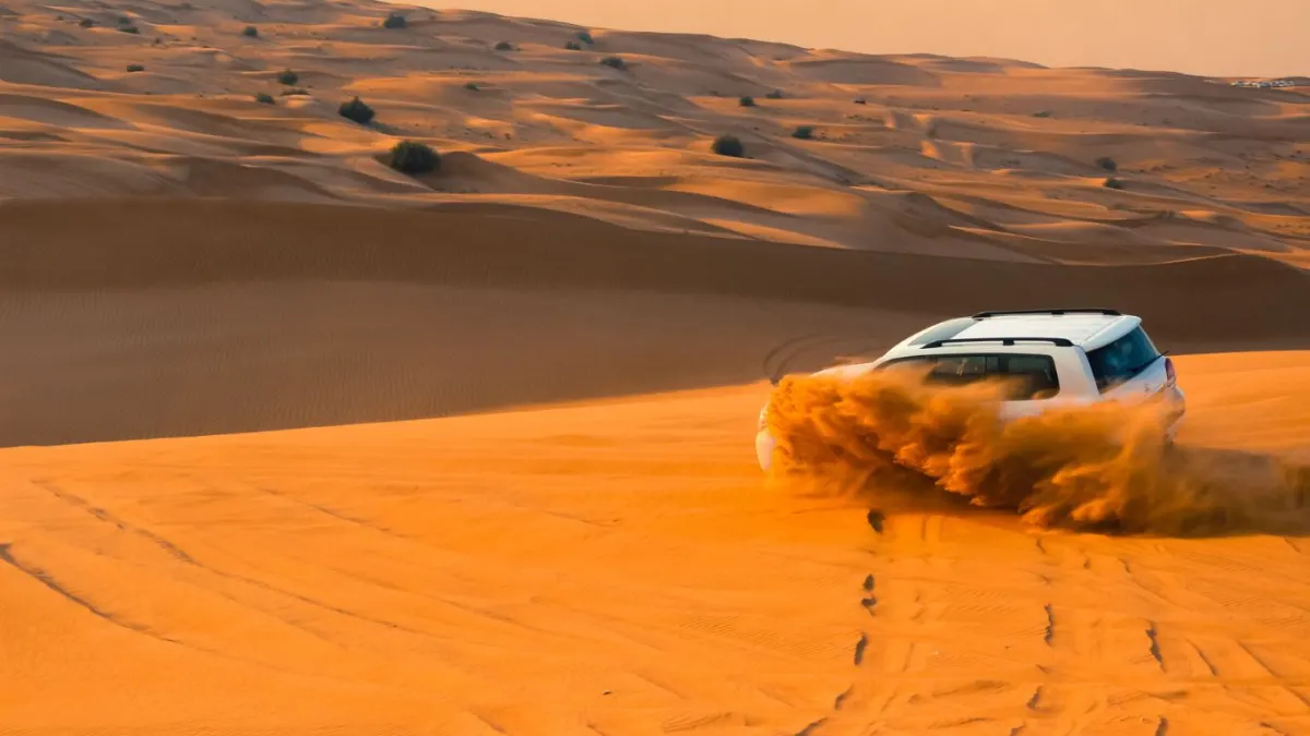 Desert safari