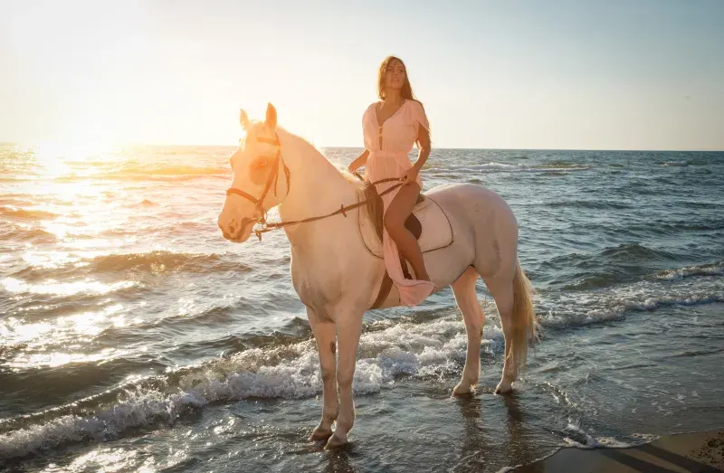 Horse Riding in Hurghada | Beach or Desert Rides Photo 1