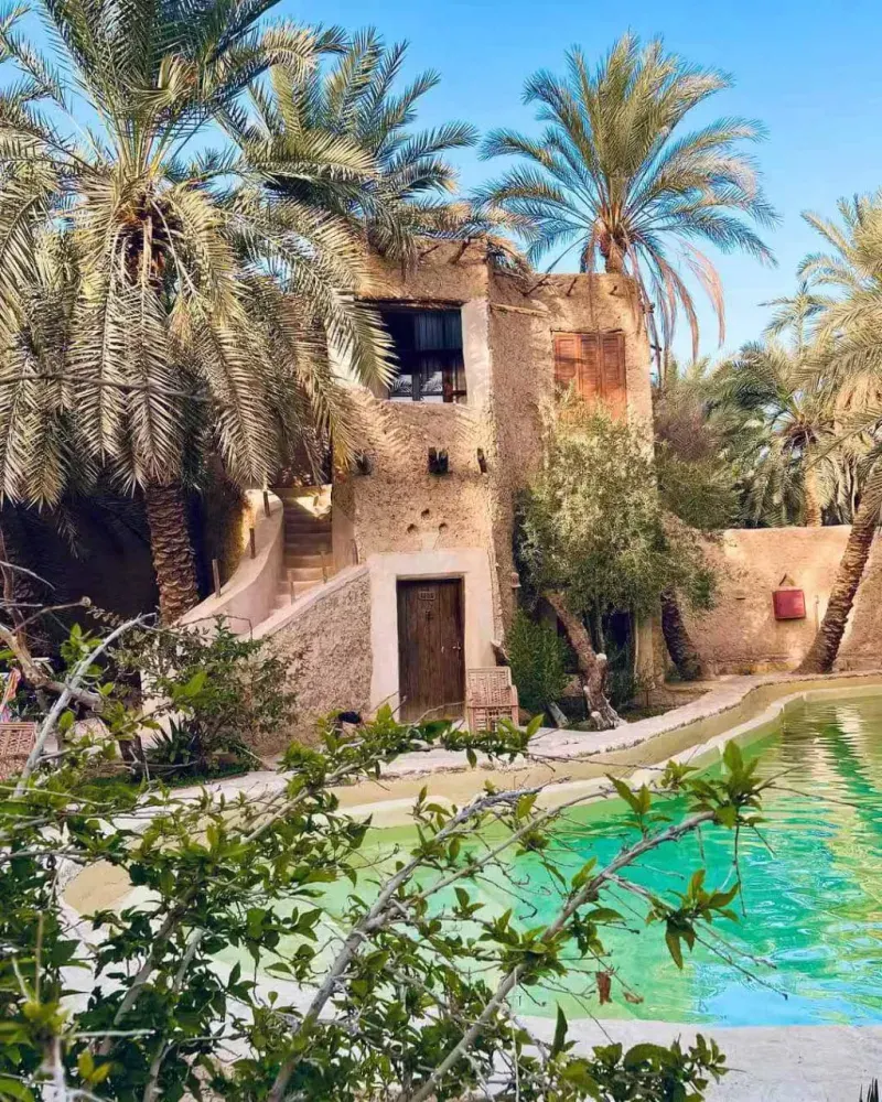  Private Ägypten-Wüstentour | Fayoum, Wadi El Hitan & Weiße Wüste Photo 2