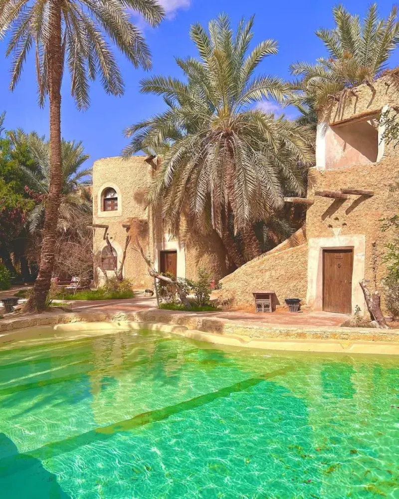  Private Ägypten-Wüstentour | Fayoum, Wadi El Hitan & Weiße Wüste Photo 3