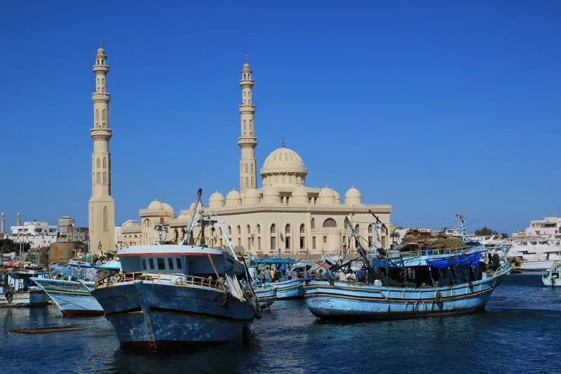 Hurghada & El Gouna Privater Landausflug | Ab Safaga Hafen