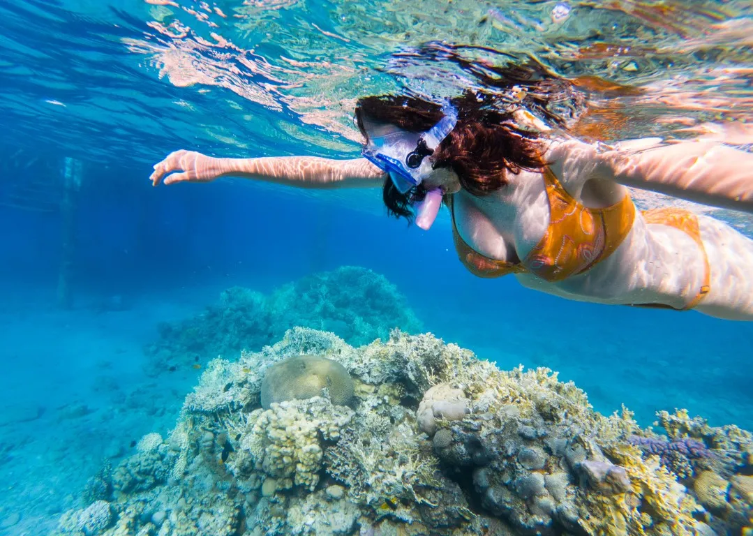 Best Snorkeling Trips in Hurghada: Orange Bay, Nemo Island, Paradise Island and More