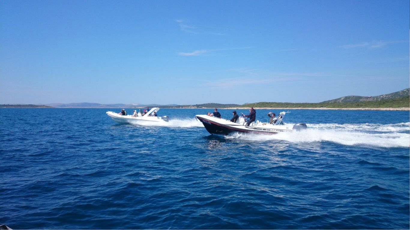 Private Speedboat or Private Full-Day Boat Which Should You Choose