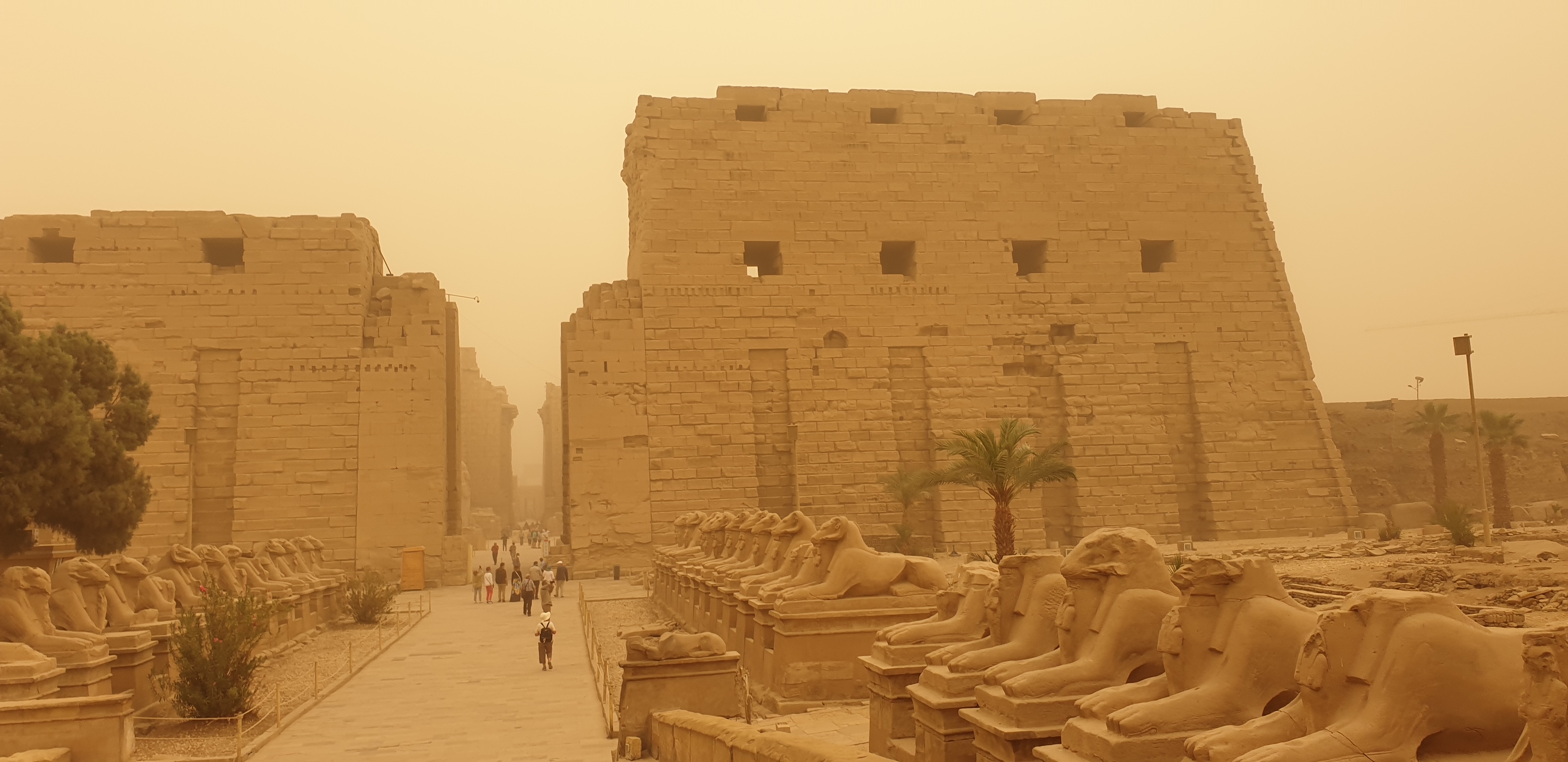 Luxor, Assuan & Abo Simbel