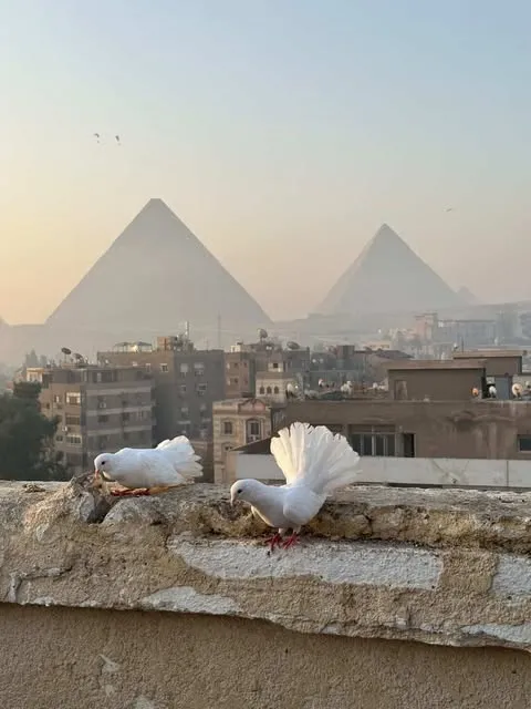 Privatausflug nach Kairo ab Hurghada | 2 Tage, Pyramiden, Alt-Kairo & GEM