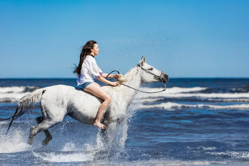 Exklusive Pferde-Reiten-Tour in Hurghada, am Strand oder durch die Wüste Photo 4