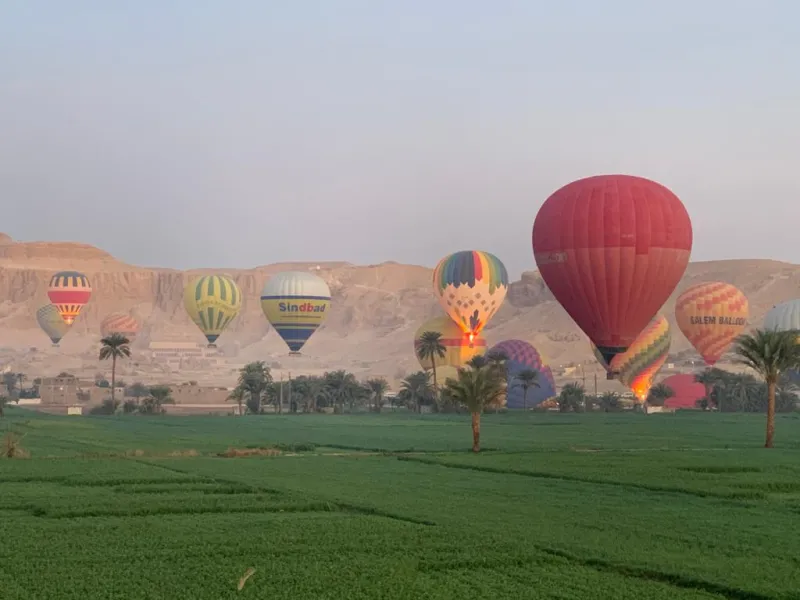 Private Tours from Hurghada 2026 | Luxor, Cairo & Egyptologist Photo 3