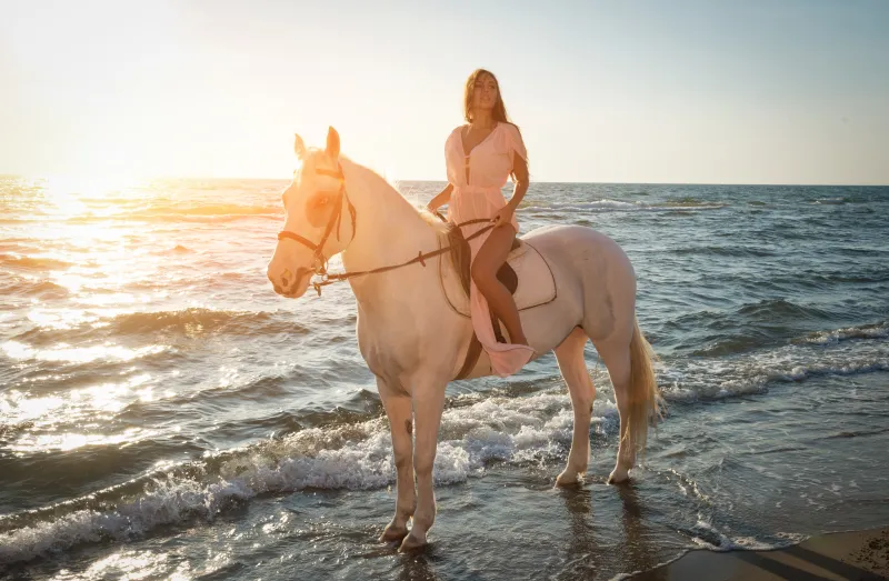 Exklusive Pferde-Reiten-Tour in Hurghada, am Strand oder durch die Wüste Photo 1