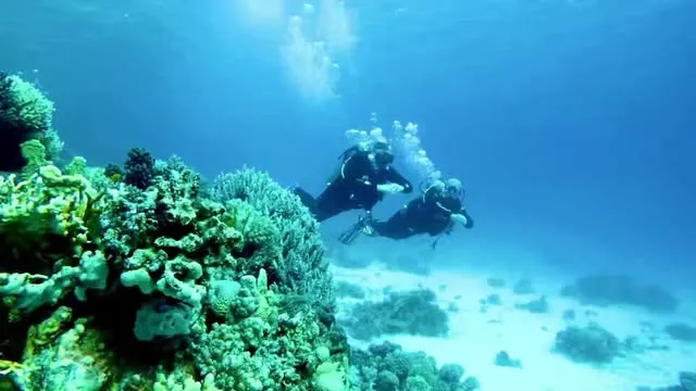  Sharm El Naga Snorkeling Tour Safaga| Perfect shore excursion for cruise passengers