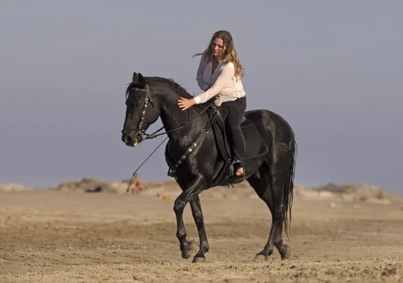 Exklusive Pferde-Reiten-Tour in Hurghada, am Strand oder durch die Wüste