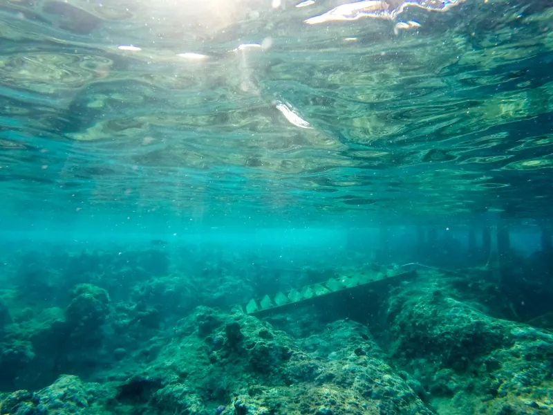 Nemo Island Bootsausflug Hurghada | Schnorcheln & Inseltour Photo 2